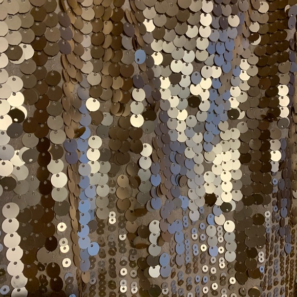 Gold and Taupe sequin tank top - Picture 3 of 4